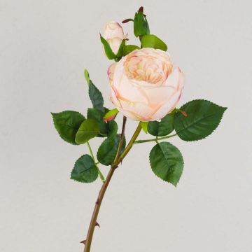 Konstgjord kålros MIRETTA, rosa-grön, 60cm, Ø3-9cm Konstgjord kålros MIRETTA, rosa-grön, 60cm, Ø3-9cm