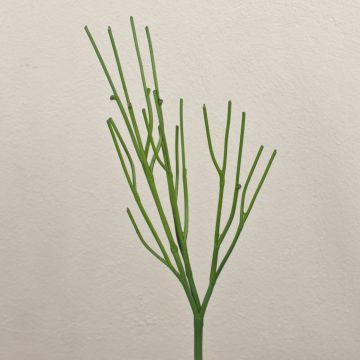 Konstgjord pennväxt BENEDETTO, grön, 50cm Konstgjord pennväxt BENEDETTO, grön, 50cm