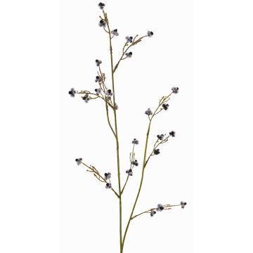 Konstgjord kvist av Stirlingia latifolia COLLAN, svart-vit, 75cm, Ø1cm
