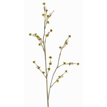 Konstgjord kvist av Stirlingia latifolia COLLAN, gulgrön, 75cm, Ø1cm Konstgjord kvist av Stirlingia latifolia COLLAN, gulgrön, 75cm, Ø1cm