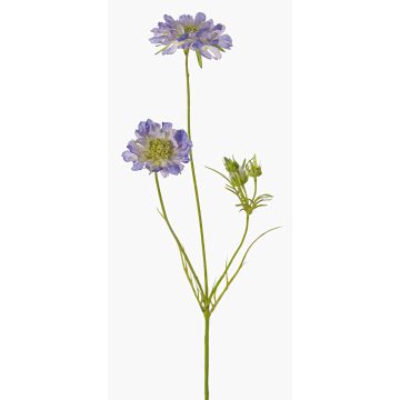 Konstgjord kvist Scabiosa ANDIA, blå-lila, 80cm, Ø8-10cm Konstgjord kvist Scabiosa ANDIA, blå-lila, 80cm, Ø8-10cm