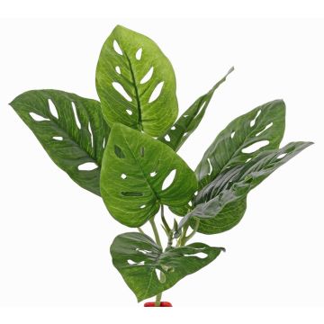 Konstgjord Philodendron Monstera adansonii SOANN, stödpinne, 30cm Konstgjord Philodendron Monstera adansonii SOANN, stödpinne, 30cm