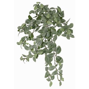 Konstgjord Fittonia NALEDI, på stickpinne, crossdoor, svårantändlig, grön-vit, 50cm