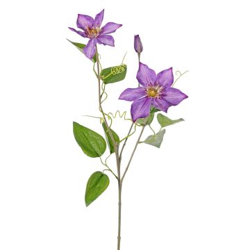 Konstgjord blomkvist av blåregn DORAN, lila, 75cm, Ø11-13cm Konstgjord blomkvist av blåregn DORAN, lila, 75cm, Ø11-13cm