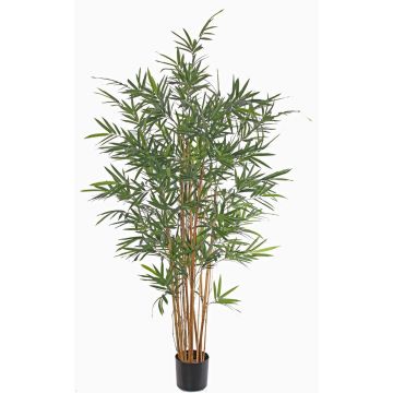 Konstgjord bambu LUCINE, äkta stammar, crossdoor, 230cm