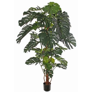 Konstgjort fönsterblad CHORA, 190cm Konstgjort fönsterblad CHORA, 190cm