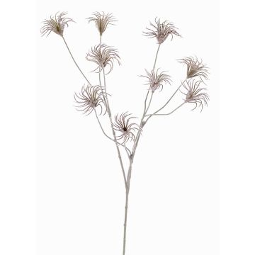 Konstgjord klematisfruktklase HARWAY, mörkbrun, 105cm, Ø7cm Konstgjord klematisfruktklase HARWAY, mörkbrun, 105cm, Ø7cm