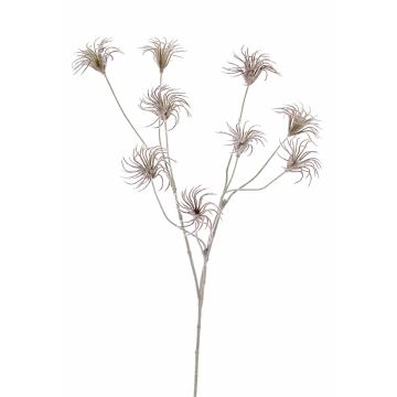 Konstgjord klematisfruktklase HARWAY, mörkbrun, 105cm, Ø7cm Konstgjord klematisfruktklase HARWAY, mörkbrun, 105cm, Ø7cm