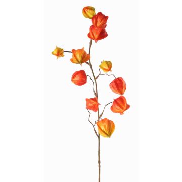 Konstgjord physalis-gren PERSEI med frukter, orange, 80cm