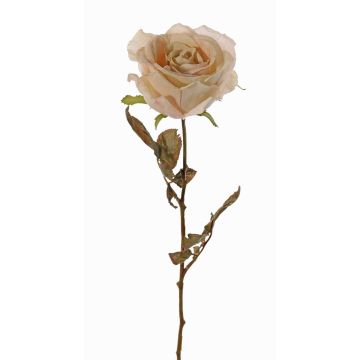 Konstgjord ros NAJMA, torkad look, krämrosa, 65cm, Ø10cm Konstgjord ros NAJMA, torkad look, krämrosa, 65cm, Ø10cm