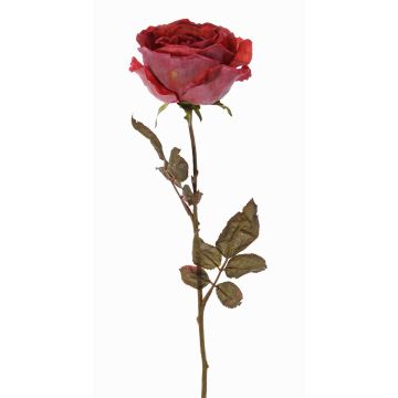 Konstgjord ros NAJMA, torkad look, antikröd-violett, 65cm, Ø10cm