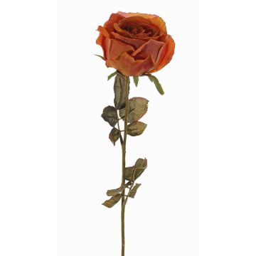 Konstgjord ros NAJMA, torkad look, orange-cerise, 65cm, Ø10cm Konstgjord ros NAJMA, torkad look, orange-cerise, 65cm, Ø10cm