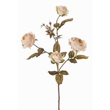 Konstgjord rosgren SITARA, torkad look, krämrosa, 75cm, Ø5-8cm Konstgjord rosgren SITARA, torkad look, krämrosa, 75cm, Ø5-8cm