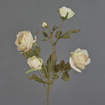 Konstgjord rosgren SITARA, torkad look, krämrosa, 75cm, Ø5-8cm Konstgjord rosgren SITARA, torkad look, krämrosa, 75cm, Ø5-8cm