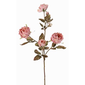 Konstgjord rosgren SITARA, torkad look, gammaldagsrosa, antikrosa, 75cm, Ø5-8cm