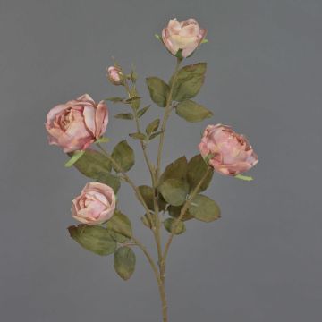 Konstgjord rosgren SITARA, torkad look, gammaldagsrosa, antikrosa, 75cm, Ø5-8cm Konstgjord rosgren SITARA, torkad look, gammaldagsrosa, antikrosa, 75cm, Ø5-8cm