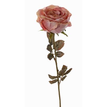 Konstgjord ros NAJMA, torkad look, gammaldagsrosa, antikrosa, 65cm, Ø10cm