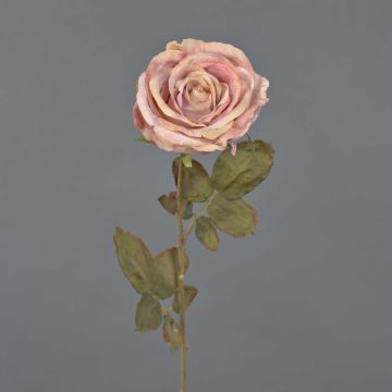 Konstgjord ros NAJMA, torkad look, gammaldagsrosa, antikrosa, 65cm, Ø10cm Konstgjord ros NAJMA, torkad look, gammaldagsrosa, antikrosa, 65cm, Ø10cm