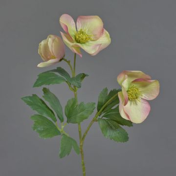 Konstgjord julros AKRAB, grön-cerise, 45cm, Ø5-8cm Konstgjord julros AKRAB, grön-cerise, 45cm, Ø5-8cm