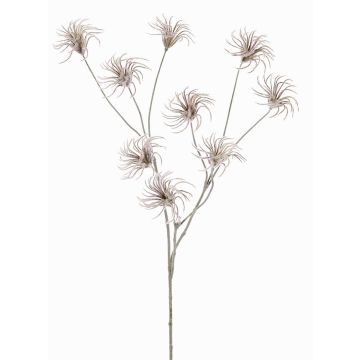 Konstgjord klematis med fröställning HARWAY, brun, 70cm, Ø7cm Konstgjord klematis med fröställning HARWAY, brun, 70cm, Ø7cm
