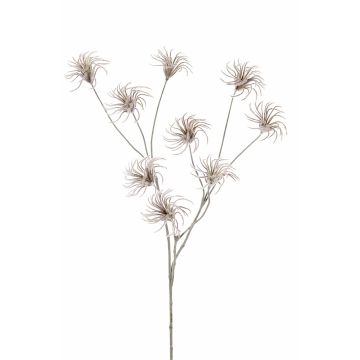 Konstgjord klematis med fröställning HARWAY, brun, 70cm, Ø7cm Konstgjord klematis med fröställning HARWAY, brun, 70cm, Ø7cm