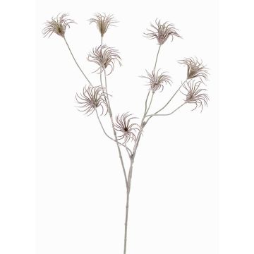 Konstgjord klematis med fröskidor HARWAY, mörkbrun, 70cm, Ø7cm Konstgjord klematis med fröskidor HARWAY, mörkbrun, 70cm, Ø7cm