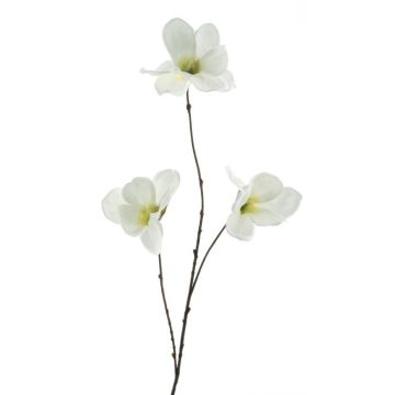 Konstgjord magnoliagren FLAVA, vit, 85cm Konstgjord magnoliagren FLAVA, vit, 85cm