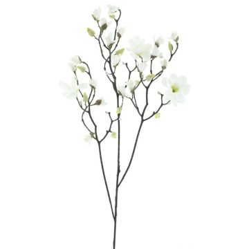 Dekorativ gren Magnolia NELKA, vit, 125cm
