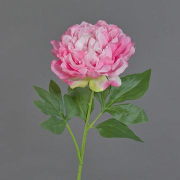 Dekorativ blomma, pion CORDOBA, rosa, 60cm, Ø16cm