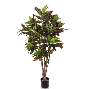 Konstgjord SHAULA-buske SHAULA, naturstammar, grön-röd, 150cm Konstgjord SHAULA-buske SHAULA, naturstammar, grön-röd, 150cm
