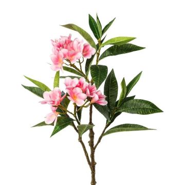 Dekorativ gren Frangipani DRIFEN, rosa, 110cm Dekorativ gren Frangipani DRIFEN, rosa, 110cm