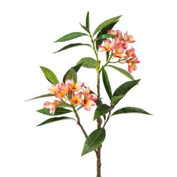 Dekorativ gren Frangipani DRIFEN, gul-rosa, 110cm Dekorativ gren Frangipani DRIFEN, gul-rosa, 110cm