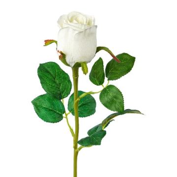 Konstgjord ros KLONI, vit, 50cm, Ø5,5cm Konstgjord ros KLONI, vit, 50cm, Ø5,5cm