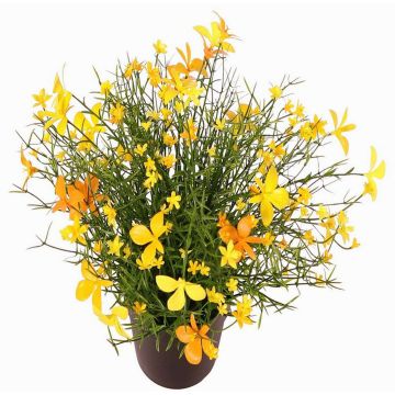 Dekorationsblomma flitiga Lisa GISINDA i dekorativ kruka, gul-orange, 25cm