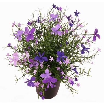 Dekorationsblomma flitiga Lisa GISINDA i dekorativ kruka, lila-lila, 25cm