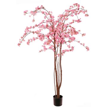 Konstgjord körsbärsblomstrande träd PONFYN med blommor, naturstammar, rosa, 175cm Konstgjord körsbärsblomstrande träd PONFYN med blommor, naturstammar, rosa, 175cm