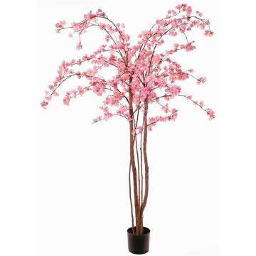 Konstgjord körsbärsblomstrande träd PONFYN med blommor, naturstammar, rosa, 175cm Konstgjord körsbärsblomstrande träd PONFYN med blommor, naturstammar, rosa, 175cm