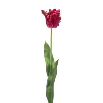 Dekorativ papegojatulpan LUNIA, cerise, 70cm Dekorativ papegojatulpan LUNIA, cerise, 70cm