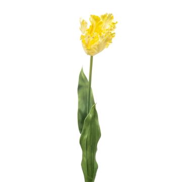 Dekorativ papegojatulpan LUNIA, ljusgul, 70cm Dekorativ papegojatulpan LUNIA, ljusgul, 70cm