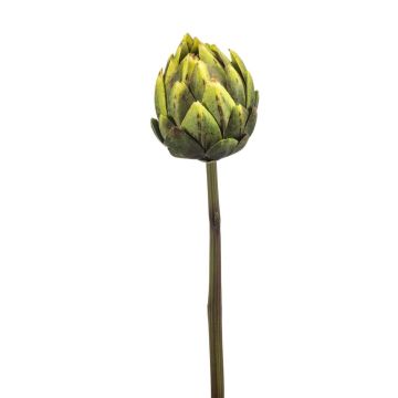 Konstgrönsak, kronärtskocka ARIGATO, grön, 60cm Konstgrönsak, kronärtskocka ARIGATO, grön, 60cm