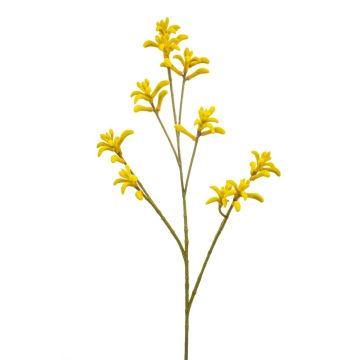 Konstgjord kängurublomma LUINA, gul, 85cm Konstgjord kängurublomma LUINA, gul, 85cm
