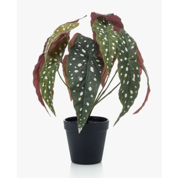 Konstblomma Forellenbegonia ELISEIA, grön-vit, 30cm Konstblomma Forellenbegonia ELISEIA, grön-vit, 30cm