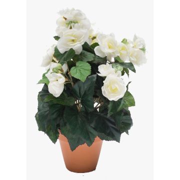 Konstblomma, begonia CATINKA i terrakottakruka, krämfärgad, 30cm Konstblomma, begonia CATINKA i terrakottakruka, krämfärgad, 30cm