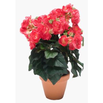 Konstblomma, begonia CATINKA i terrakottakruka, cerise, 30cm Konstblomma, begonia CATINKA i terrakottakruka, cerise, 30cm