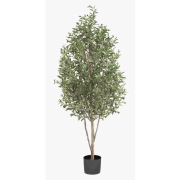 Konstgjord olivträd DEACON, äkta stam, med frukter, 170cm
