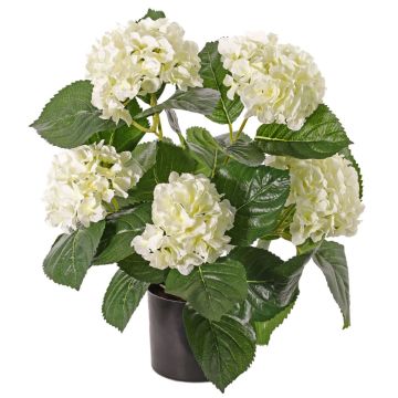 Konstblomma hortensia TEMARI, krämfärgad, 40cm, Ø10-12cm Konstblomma hortensia TEMARI, krämfärgad, 40cm, Ø10-12cm