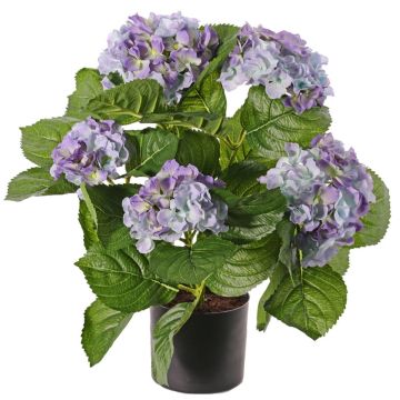 Konstblomma hortensia TEMARI, violett, 40cm, Ø10-12cm Konstblomma hortensia TEMARI, violett, 40cm, Ø10-12cm