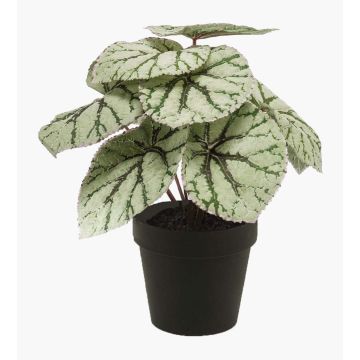 Konstväxt bladbegonia MEIRA, grågrön, 25cm Konstväxt bladbegonia MEIRA, grågrön, 25cm