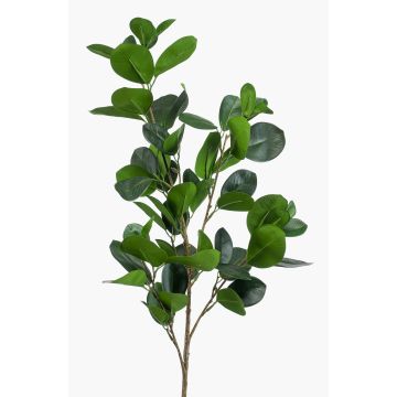 Konstgjord gren Ficus Panda BANDE, grön, 90cm Konstgjord gren Ficus Panda BANDE, grön, 90cm