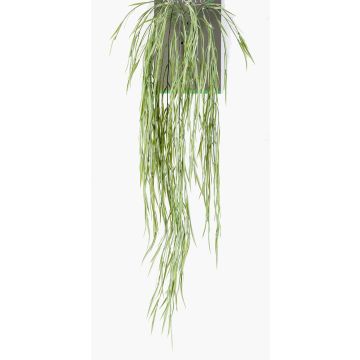 Hängande konstväxt, sörjande pil ESGOS, grön, 85cm